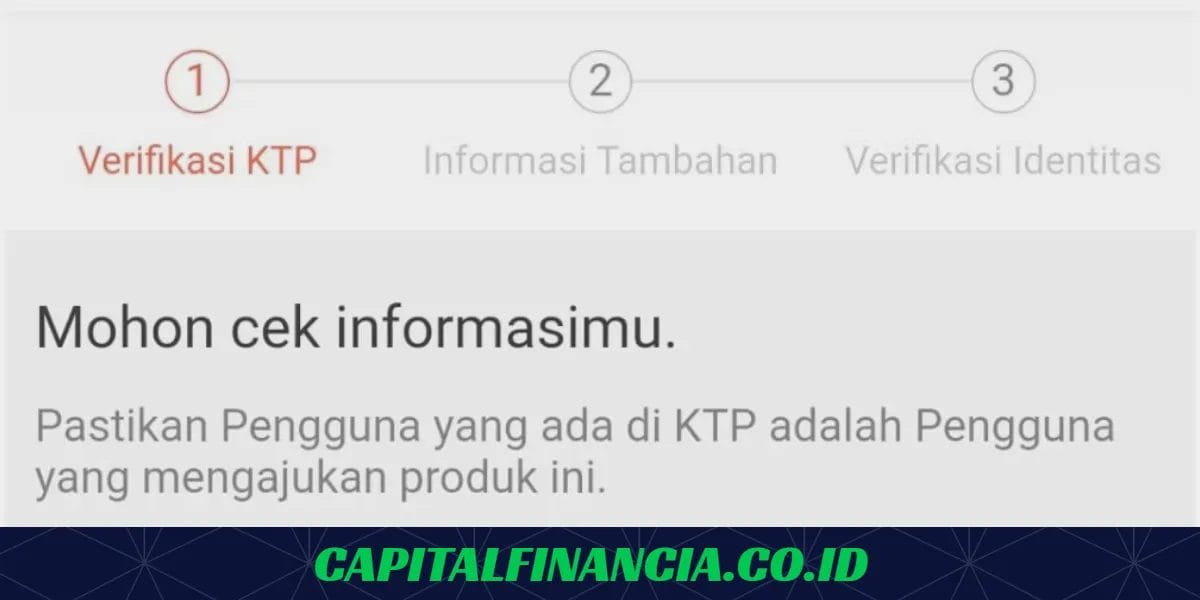 cara aktifkan spinjam