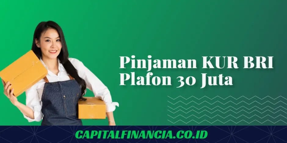 pinjaman kur bri 30 juta