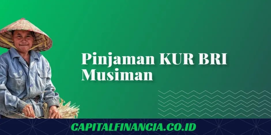 pinjaman bri musiman