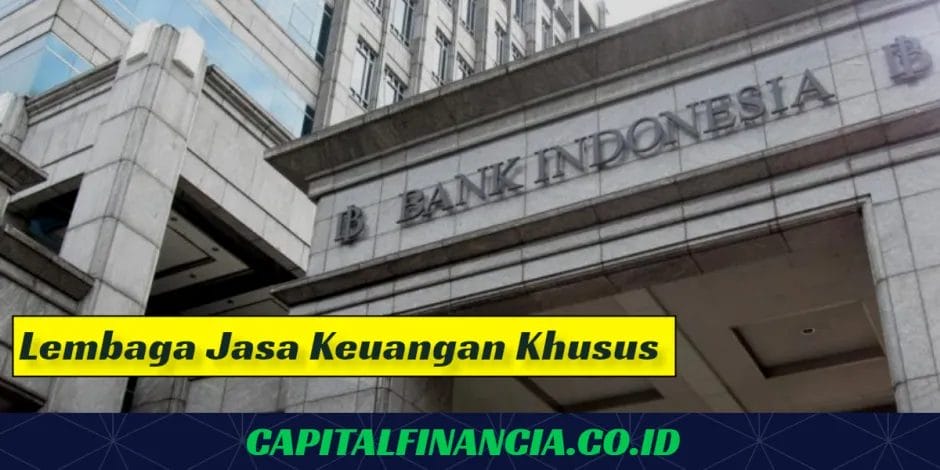 lembaga jasa keuangan khusus