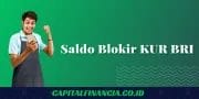 pengertian saldo blokir 1 kali